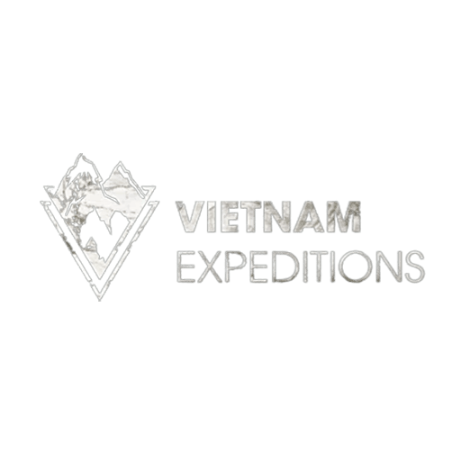 VNE-Logo.png